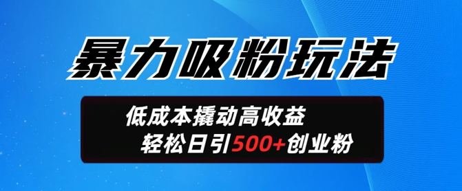 暴力吸粉玩法，日引500+精准创业粉，日变现轻松多张-鸿雁学习网
