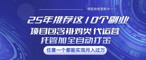 25年推荐这10个副业项目包含褂鸡类、代运营托管类、全自动打金类【揭秘】-鸿雁学习网