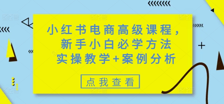 小红书电商高级课程，新手小白必学方法，实操教学+案例分析-鸿雁学习网